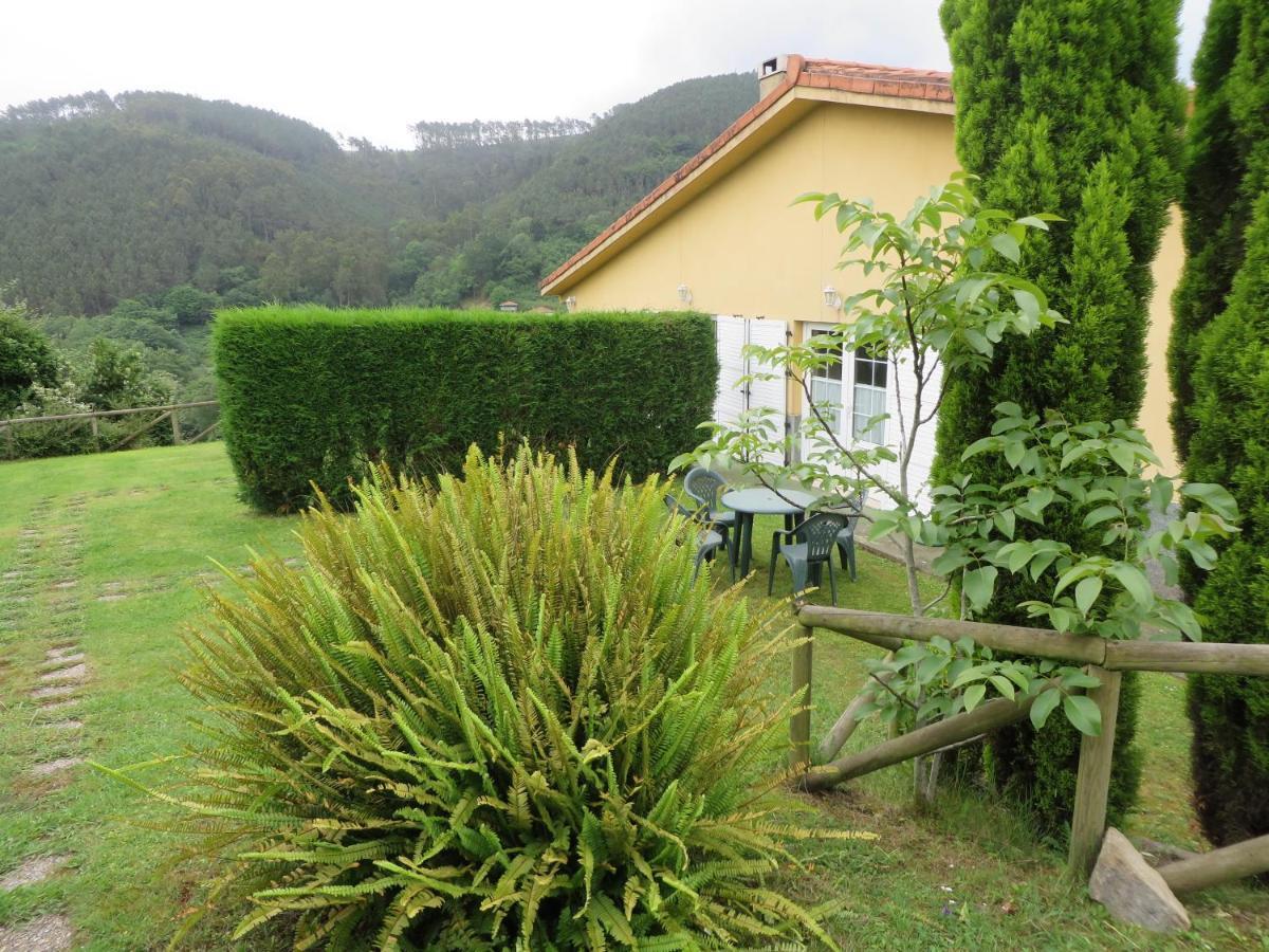 Apartamentos El Otero De Cudillero Soto de Luiña Zimmer foto